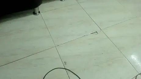 miacam-hot stripchat stream image