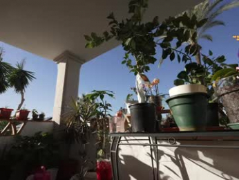 hannahjames710 chaturbate stream image