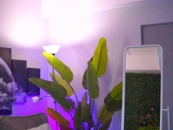 RaquelleVon bongacams stream image