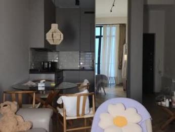 swt_shadow chaturbate stream image, 01.12.2025 04:30