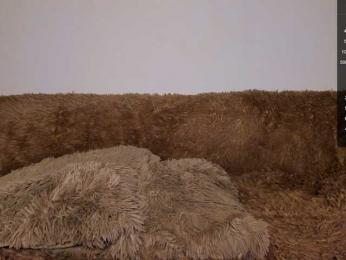 Tina_may bongacams stream image