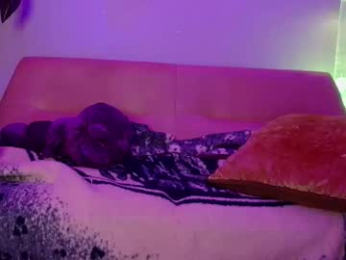 kissmerosy chaturbate stream image