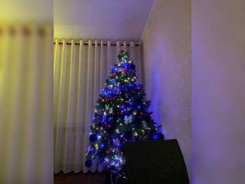 3apa bongacams stream image