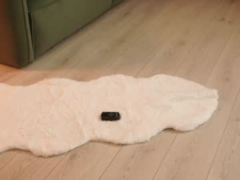 _meganmeow_ chaturbate stream image