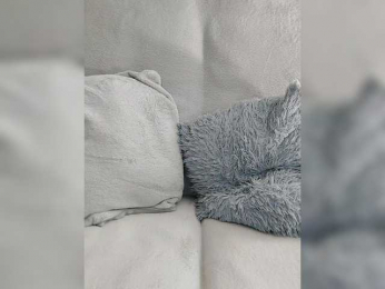 Tina_ bongacams stream image