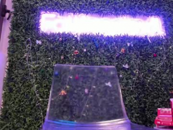 hotfallingdevil chaturbate stream image