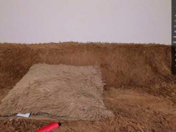 Tina_may bongacams stream image