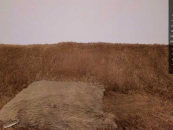 Tina_may bongacams stream image