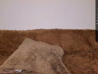 Tina_may bongacams stream image