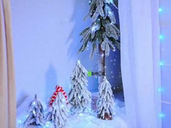 -ANN bongacams stream image, 24.12.2025 09:50