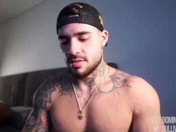 dominic_sullivan1 chaturbate stream image, 29.12.2025 06:30