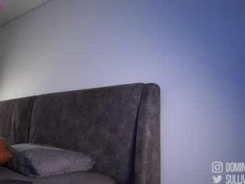 dominic_sullivan1 chaturbate stream image, 29.12.2025 06:30