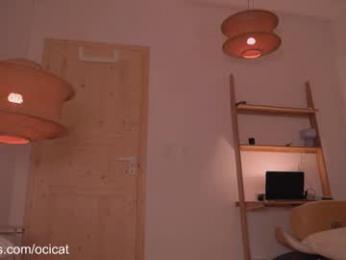 ocicat chaturbate stream image, 31.12.2025 01:20