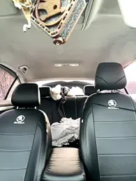 MerlinDave stripchat stream image