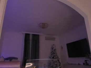 seilyfox bongacams stream image