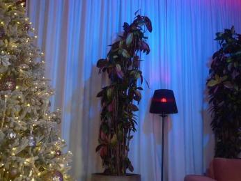 EvaFashionista bongacams stream image, 06.01.2026 17:20