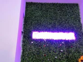 hotfallingdevil chaturbate stream image