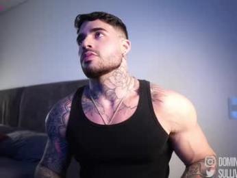 dominic_sullivan1 chaturbate stream image, 17.01.2026 02:50