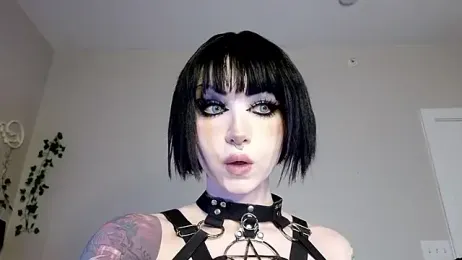 Ivey_Strigoi stripchat stream image, 20.01.2026 22:50