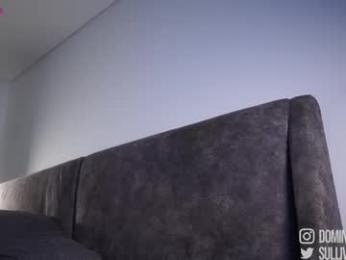 dominic_sullivan1 chaturbate stream image, 25.01.2026 04:30