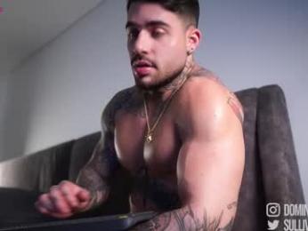 dominic_sullivan1 chaturbate stream image, 25.01.2026 04:30