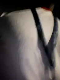 Petrossa stripchat stream image