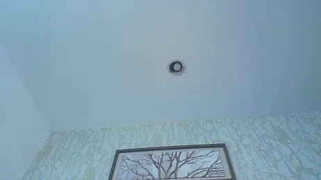 Lander_Cruz stripchat stream image