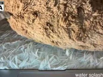 miafleur chaturbate stream image