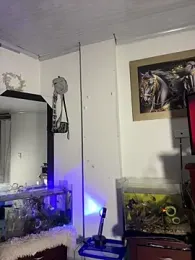 CRAZY-BOY99 stripchat stream image