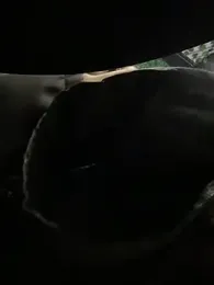 PumaShyXD stripchat stream image