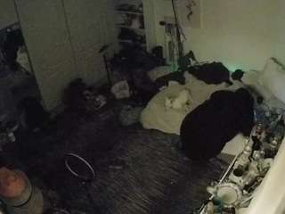 voyeurcam-hornyhostel-02 camsoda stream image