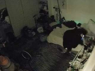 voyeurcam-hornyhostel-02 camsoda stream image