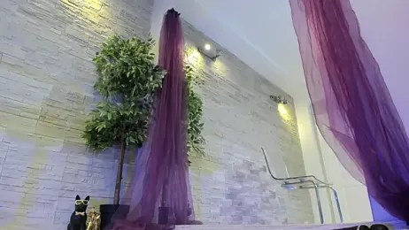 AngelInSinn stripchat stream image, 05.02.2026 20:10