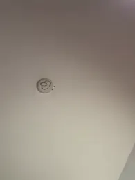 Andrestarr stripchat stream image