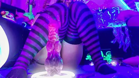 LaytonBox stripchat stream image