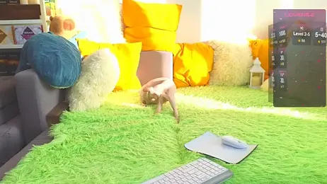 LandelRay stripchat stream image