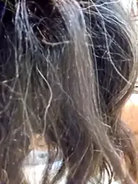 Goldenlace stripchat stream image