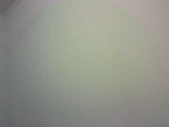 Multiply-orgazm bongacams stream image, 11.02.2026 11:40