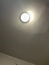 LoveShae_ stripchat stream image