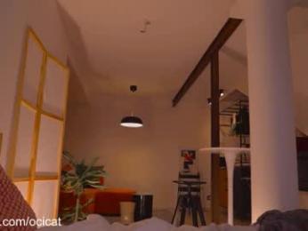 ocicat chaturbate stream image, 12.02.2026 22:00