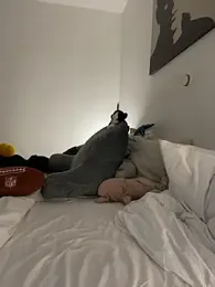 EllyNora stripchat stream image