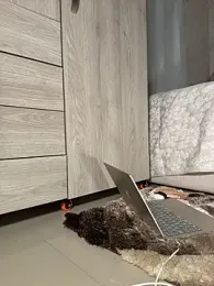 cutefatii stripchat stream image