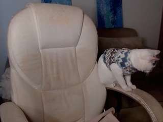 alexyferrer camsoda stream image