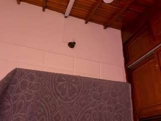 gabbyhaze camsoda stream image