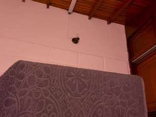 gabbyhaze camsoda stream image