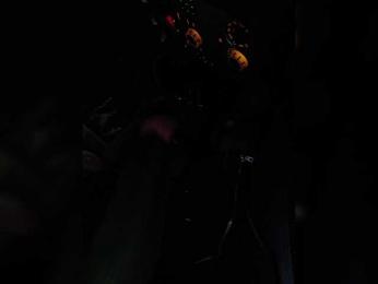 Angelia22 bongacams stream image