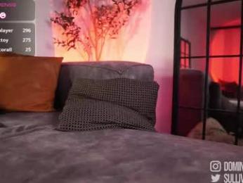 dominic_sullivan1 chaturbate stream image, 11.03.2026 05:00