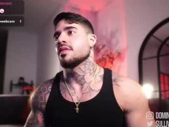 dominic_sullivan1 chaturbate stream image, 11.03.2026 05:00