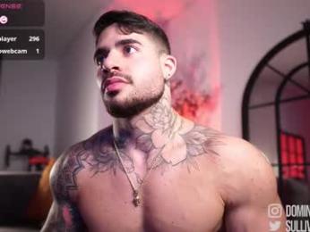 dominic_sullivan1 chaturbate stream image, 11.03.2026 05:00