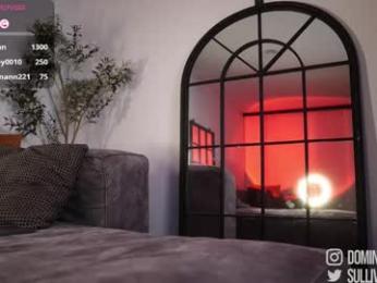 dominic_sullivan1 chaturbate stream image, 19.03.2026 04:50